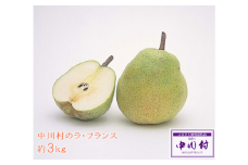 中川村産西洋梨　ラ・フランス　約３Kg