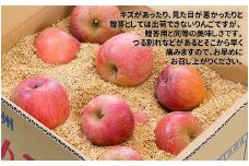 農家直送】富永農園の秋のご家庭用りんご【サンふじ】約１０㎏（自家用）