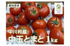 GOKO樹なり甘熟とまと（中玉ABランク品）　約１Kg【金曜日発送】