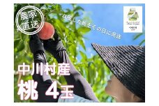 【農家直送】中川村の桃（あかつき）４玉