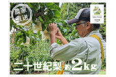 農家直送】桃沢農園のなし（二十世紀）　約２Kg