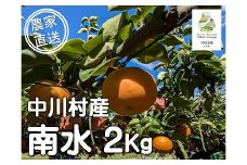 農家直送】桃沢農園のなし（南水）約２Kg