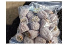 【2025年１月発送】さらら農園の市田柿　10㎏（お徳用A級品）約１㎏×10袋