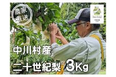 農家直送】桃沢農園のなし（二十世紀）約３Kg±