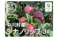 担当者おすすめ「味覚の里なかがわ」の旬のくだもの（シナノリップ３Kg箱）８月10日～８月16日発送予定