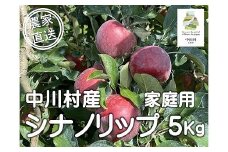 担当者おすすめ「味覚の里なかがわ」の旬のくだもの（シナノリップ自家用５Kg箱）８月10～16日頃発送