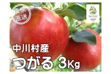 担当者おすすめ「味覚の里なかがわ」の旬のくだもの（つがる３Kg箱）８月20～31日発送予定