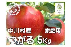 担当者おすすめ「味覚の里なかがわ」の旬のくだもの（つがる自家用５Kg箱）８月20～31日頃発送