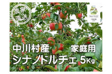 担当者おすすめ「味覚の里なかがわ」の旬のくだもの（シナノドルチェ自家用５Kg箱）９月10～20日頃発送