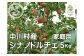 イメージ写真