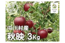 担当者おすすめ「味覚の里なかがわ」の旬のくだもの（秋映３Kg箱）10月１～15日発送予定