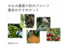 【農家直送】みなみ農園おすすめ　旬の果物セット