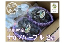 農家直送】宮下農園のナガノパープル　約１Kg