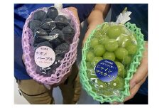 担当者おすすめ「味覚の里なかがわ」の採れたてくだもの
【農家直送】木下農園のぶどう２種セット　約１Kg（シャインマスカットとナガノパープル）