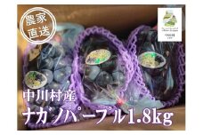 農家直送】宮下ぶどう園直送　ナガノパープル　約1.8Kg　受付9/15まで数量限定