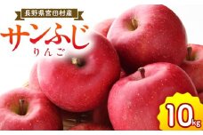 サンふじリンゴ（１０ｋｇ）（予約制）（りんご 林檎 フルーツ ビタミン 果物 くだもの 食品  上伊那 宮田村 長野 信州 甘い 新鮮 人気 ギフト 贈答 お祝い プレゼント 贈り物  特産品）