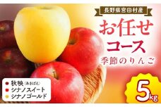 季節のりんご『お任せコース』（５ｋｇ）（予約制）（りんご 林檎 フルーツ ビタミン 果物 くだもの 上伊那 宮田村 長野 信州 甘い 新鮮 人気 ギフト 贈答  特産品）