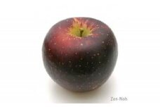 季節のりんご『秋映』（５ｋｇ）（予約制）（りんご 林檎 フルーツ ビタミン 果物 くだもの 食品 人気 上伊那 宮田村 長野 信州 甘い 新鮮 人気 ギフト 贈答 プレゼント 贈り物 特産品）