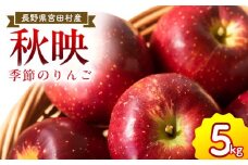 季節のりんご『秋映』（５ｋｇ）（予約制）（りんご 林檎 フルーツ ビタミン 果物 くだもの 食品 人気 上伊那 宮田村 長野 信州 甘い 新鮮 人気 ギフト 贈答 プレゼント 贈り物 特産品）