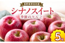 季節のりんご『シナノスイート』（５ｋｇ）（予約制）（りんご 林檎 フルーツ ビタミン 果物 くだもの 食品 人気 上伊那 宮田村 長野 信州 甘い 新鮮 人気 ギフト 贈答 お祝い プレゼント 贈り物  特産品）