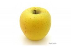 季節のりんご『シナノゴールド』（５ｋｇ）（予約制）（りんご 林檎 フルーツ ビタミン 果物 くだもの 上伊那 宮田村 長野 信州 甘い 新鮮 人気 ギフト 贈答 お祝い プレゼント 贈り物 特産品）