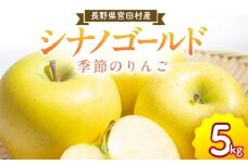 季節のりんご『シナノゴールド』（５ｋｇ）（予約制）（りんご 林檎 フルーツ ビタミン 果物 くだもの 上伊那 宮田村 長野 信州 甘い 新鮮 人気 ギフト 贈答 お祝い プレゼント 贈り物 特産品）