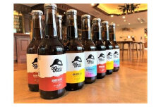 南信州クラフトビール「Ogna」１２本セット（お酒 ビール 飲み比べ 地ビール 南信州 上伊那 宮田村 長野 ヤマソーホップ オグナ 地域限定 クラフトビール 国産 日本産 ギフト クリスマス 年末年始 人気 お祝い 贈答 ギフト プレゼント フルーティー 限定品 醸造 ホップ 香り高い）