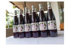宮田ぶどうジュース 500ml × 12本セット 果汁100％（長野県 宮田村 国産 本坊酒造 葡萄 ブドウ ヤマソービニオン ギフト プレゼント バースデー お祝い）