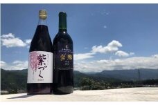 宮田ワイン「紫輝」と食ごころ「紫づく」（山ぶどうジュース）セット（野菜ジュース 飲料 野菜 やさい 食品 人気 飲料類 加工品 果実飲料 ドリンク 果汁飲料 ジュース 上伊那 宮田村 長野 信州 果汁100% 健康 美味しい 栄養 国産 日本産 料理 朝食 ギフト お祝い プレゼント 贈答）