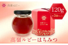 高嶺ルビーはちみつ120g　3本セット（たかね 食品 コンクール 入賞 優良 人気 そば ソバ そばの花 ハニー 蜂蜜 ミツバチ 蜜蜂 加工品 甘い 天然 甘味 香り フルーティー 芳醇 豊潤 高級 自然 国産 日本産 健康 美味しい 料理 スイーツ 朝食 デザート 上伊那 宮田村 長野 信州 プレゼント ギフト お祝い 贈答 贈り物）