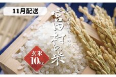 【予約受付】【令和７年米】【新米】長野県産　減農薬栽培(栽培期間中)コシヒカリ／玄米／10kg・20,000円／11月配送