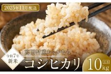 【予約受付】【令和７年米】【新米】長野県宮田村産コシヒカリ／玄米／10kg・20,000円／11月配送
