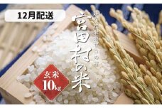 【予約受付】【令和７年米】【新米】長野県産　減農薬栽培(栽培期間中)コシヒカリ／玄米／10kg・20,000円／12月配送