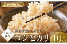 【予約受付】【令和７年米】【新米】長野県宮田村産コシヒカリ／玄米／10kg・20,000円／令和８年2月配送
