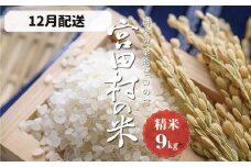 【予約受付】【令和７年米】【新米】長野県産　減農薬栽培(栽培期間中)コシヒカリ／精米／9kg・20,000円／12月配送