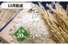 【予約受付】【令和７年米】【新米】長野県産　減農薬栽培(栽培期間中)コシヒカリ／玄米／20kg・40,000円／12月配送