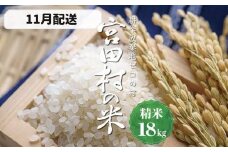 【予約受付】【令和７年米】【新米】長野県産　減農薬栽培(栽培期間中)コシヒカリ／精米／18kg・40,000円／11月配送