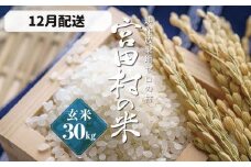 【予約受付】【令和７年米】【新米】長野県産　減農薬栽培(栽培期間中)コシヒカリ／玄米／30kg・60,000円／12月配送
