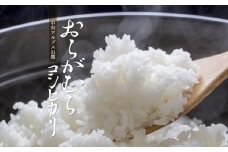 【予約受付】【令和７年米】【新米】長野県産　減農薬栽培(栽培期間中)コシヒカリ／玄米／30kg・60,000円／令和８年3月配送