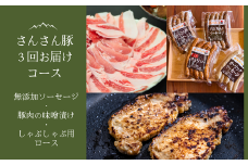 SF06-25C さんさん豚3回お届けコース ／（翌月より3ヶ月）// 長野県産豚肉 南信州 ポーク ステーキ バークシャー種 薄切り 味噌漬け 安全 安心 定期便 毎月届く 贈答 ギフト