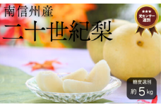 JA07-25A 梨 二十世紀 約5kg／2025年9月上旬～9月下旬ごろ配送 // 糖度センサー選別 厳選 南信州 長野県 和梨 なし ナシ 新鮮 厳選 贈答