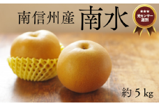 JA09-25A 梨 南水 約5kg ／2025年9月中旬〜10月中旬頃配送予定 // 糖度センサー選別 厳選 南信州 長野県 和梨 なし ナシ 新鮮 厳選 贈答
