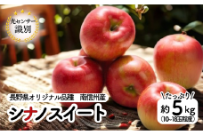 JA13-25A りんご シナノスイート 約5kg / 2025年9月下旬〜10月上旬頃配送予定 // 長野県 贈答 南信州 長野県オリジナル品種 甘い 新鮮 スイート リンゴ 厳選 りんご三兄弟