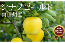 JA14-25A りんご シナノゴールド 約5kg ／2025年10月下旬～11月上旬ごろ配送 //長野県 糖度センサー選別 オリジナル品種 南信州 贈答 ギフト 濃厚 甘い 酸味 かため 硬め シャキシャキ 新鮮 りんご三兄弟 シナノゴールド