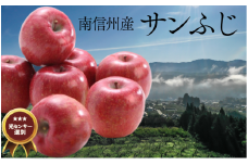 JA15-25A りんご サンふじ 約5kg / 2025年11月下旬～12月上旬ごろ配送予定 // 長野県 南信州 贈答 ギフト お歳暮 ふじ フジ さんふじ 新鮮 林檎 リンゴ サンフジ