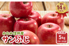 JA15-25A りんご サンふじ 約5kg / 2025年11月下旬～12月上旬ごろ配送予定 // 長野県 南信州 贈答 ギフト お歳暮 ふじ フジ さんふじ 新鮮 林檎 リンゴ サンフジ