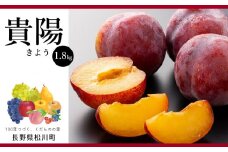 AS01-25A プラム 貴陽 （松川町産）秀品 約1.8kg ／2025年8月上旬～中旬頃 配送予定 // 長野県 南信州 松川町 プラム すもも 希少  幻のフルーツ 贈答 産地直送 新鮮 数量限定 2kg