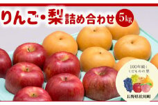 AS04-25A りんご・梨 詰め合わせ  シナノスイート・南水（松川町産）秀品 約5kg ／2025年10月上旬～中旬頃 配送予定 // 長野県 オリジナル品種 松川町 甘い 新鮮 りんご スイート 梨 南水 詰合せ 贈答 食べ比べ
