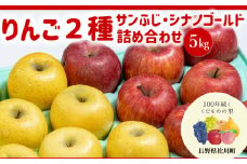 AS10-25A りんご２種 詰め合わせ サンふじ・シナノゴールド（松川町産）秀品 約5kg ／2025年11月中旬～下旬頃 配送予定 // 長野県 松川町 甘い 新鮮 りんご ふじ サンフジ  シナノゴールド 黄色りんご 詰め合わせ 贈答 食べ比べ