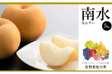 AS02-25A 梨 南水（松川町産）秀品 約5kg ／2025年9月中旬～下旬頃 配送予定 // 長野県 南信州 松川町 和梨 なし ナシ 南水 贈答 農家支援 産地直送